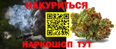 гашик Кинель