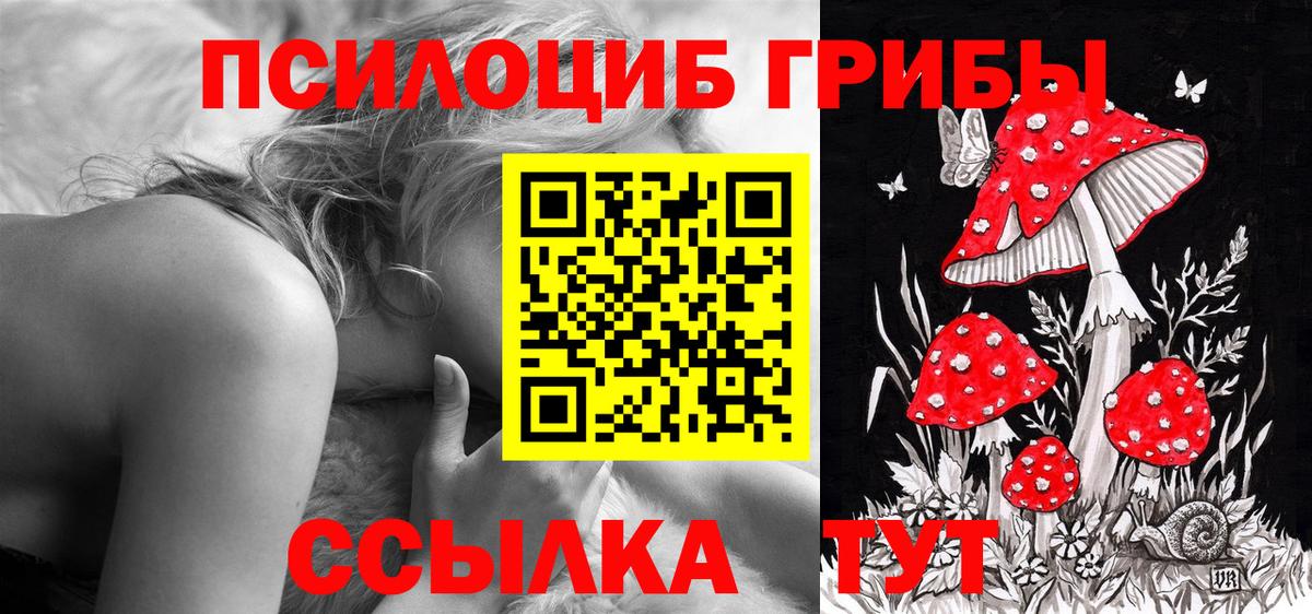 Псилоцибиновые грибы мухоморы  Вход с VPN  Галлюциногенные грибы Cubensis  Королёв 